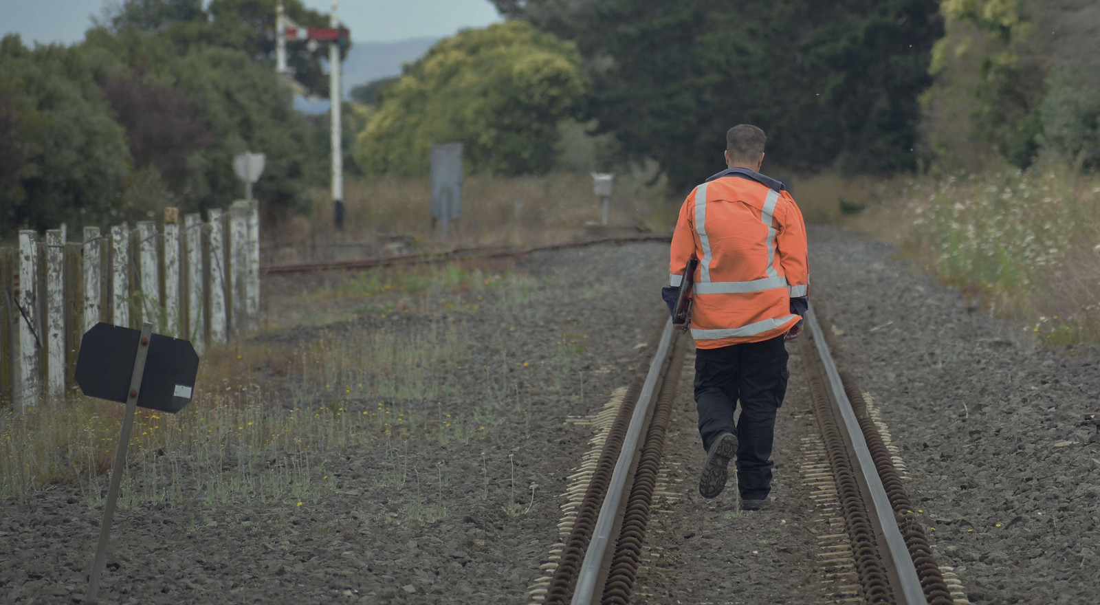Безопасные методы и приемы работ в непосредственной близости от полотна или проезжей части эксплуатируемых автомобильных и железных дорог | Обучение, аттестация, лицензирование